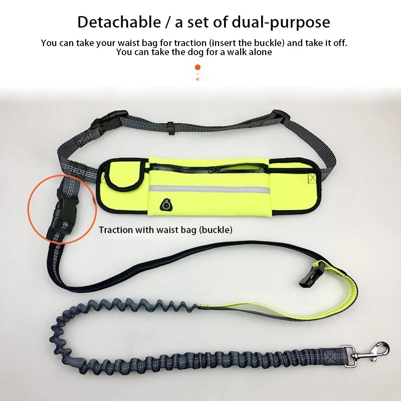Pet Dog Leash Running Multi-functional Belt Bag Harness Collar Jogging Leading Adjustable Leashes Reflective Traction Belt Rope