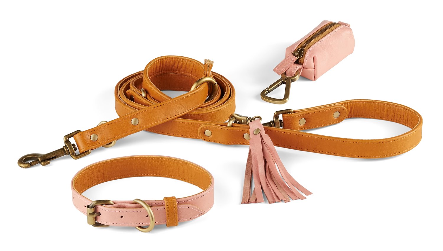 Collars and Leashes