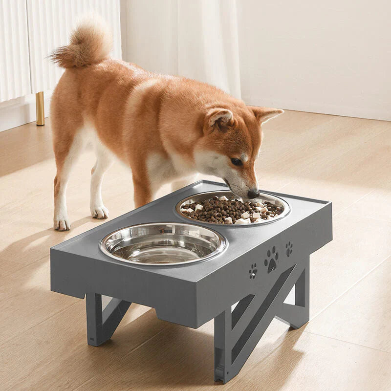Pet Bowls and Feeding