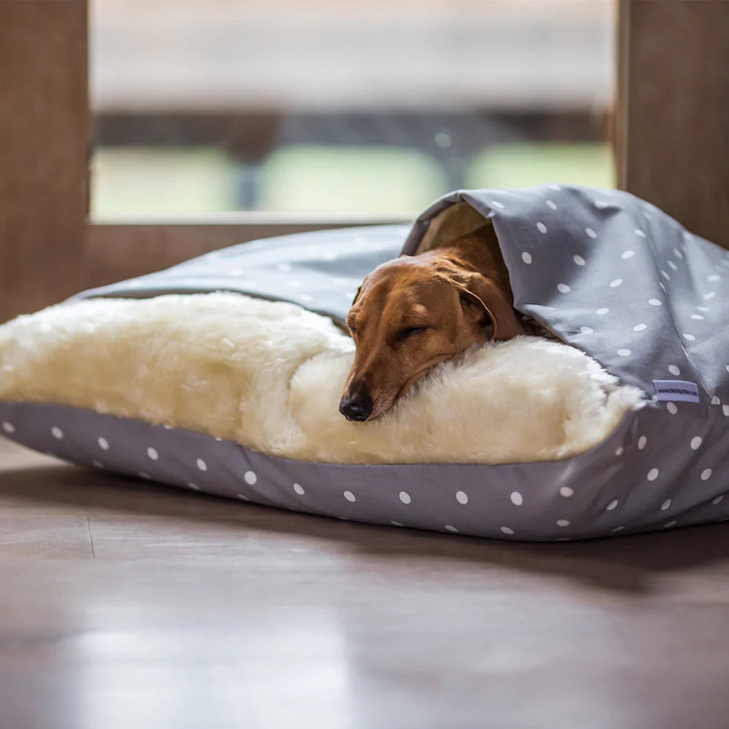 Beds and Blankets