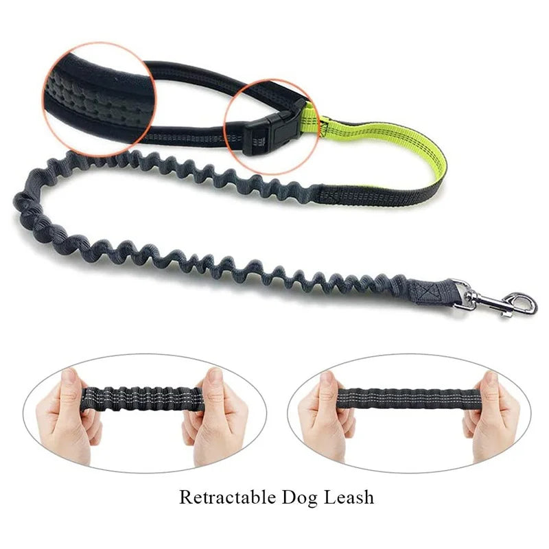 Pet Dog Leash Running Multi-functional Belt Bag Harness Collar Jogging Leading Adjustable Leashes Reflective Traction Belt Rope