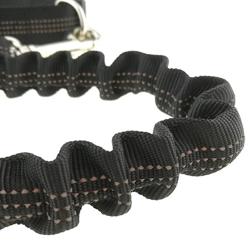 Pet Dog Leash Running Multi-functional Belt Bag Harness Collar Jogging Leading Adjustable Leashes Reflective Traction Belt Rope